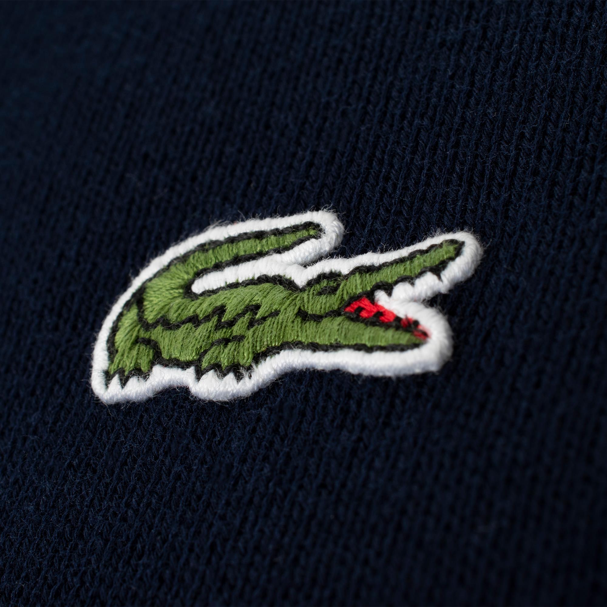 Mens Lacoste Regular Fit Zipped Neck Sweater Navy